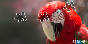 3.png